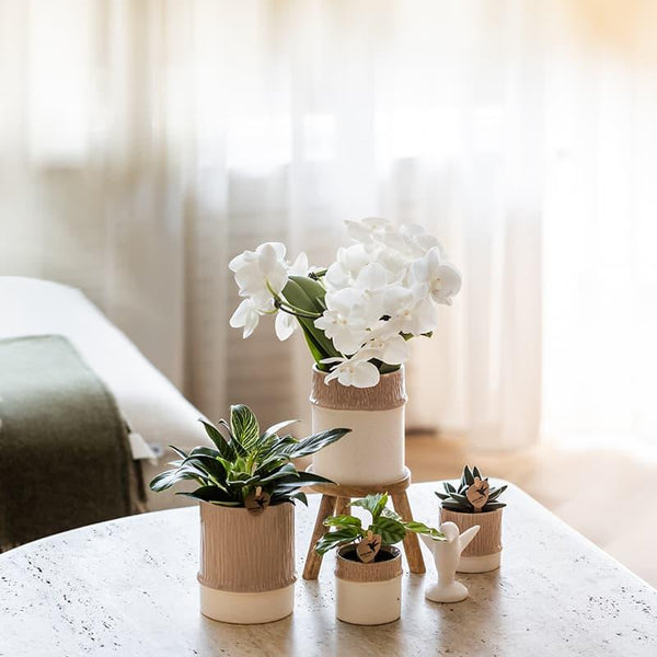 Übertopf Bamboo – Ansicht 5