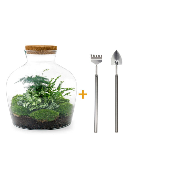 Flaschengarten-Set „Fat Joe" – Pflanzen im Glas mit Licht