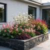Stauden-Set „Schattenbeet" – 12 Schattenstauden in verschiedenen Arten und Farben