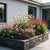Stauden-Set „Schattenbeet" – 12 Schattenstauden in verschiedenen Arten und Farben