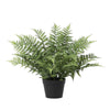 Kunstpflanze Schwertfarn (Nephrolepis exaltata)