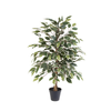 Kunstpflanze Birkenfeige panaschiert (Ficus benjamina) – Ø 13 cm · 85 cm