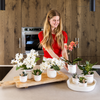 Geschenk-Set „Love You" – rote Phalaenopsis ‚Congo' mit Grünpflanze – Ansicht 7