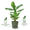 Blumentopf elho Greenville Round – Ansicht 3