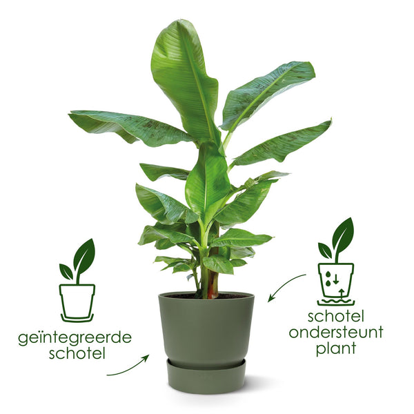 Blumentopf elho Greenville Round – Ansicht 3