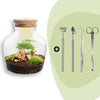 Flaschengarten-Set „Little Joe" – DIY-Terrarium mit Beleuchtung