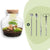 Flaschengarten-Set „Little Joe" – DIY-Terrarium mit Beleuchtung