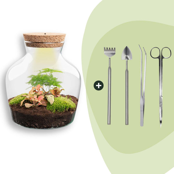 Flaschengarten-Set „Little Joe" – DIY-Terrarium mit Beleuchtung