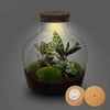 Flaschengarten-Set „Fat Joe" – DIY-Terrarium mit Licht – Ansicht 2