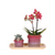Geschenk-Set „Aura" – rosa Phalaenopsis-Orchidee mit Grünpflanze