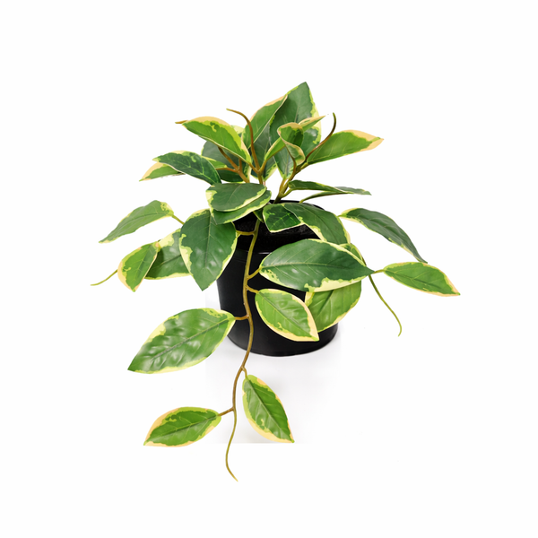 Kunstpflanze Hoya grün