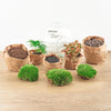 Flaschengarten-Set „Dome" – DIY-Terrarium im Kugelglas – Ansicht 4
