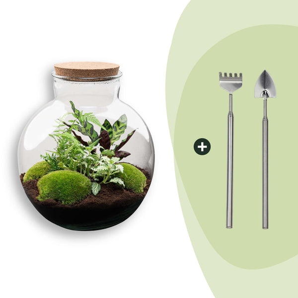 Flaschengarten-Set „Bolder Bob" – DIY-Terrarium mit Beleuchtung