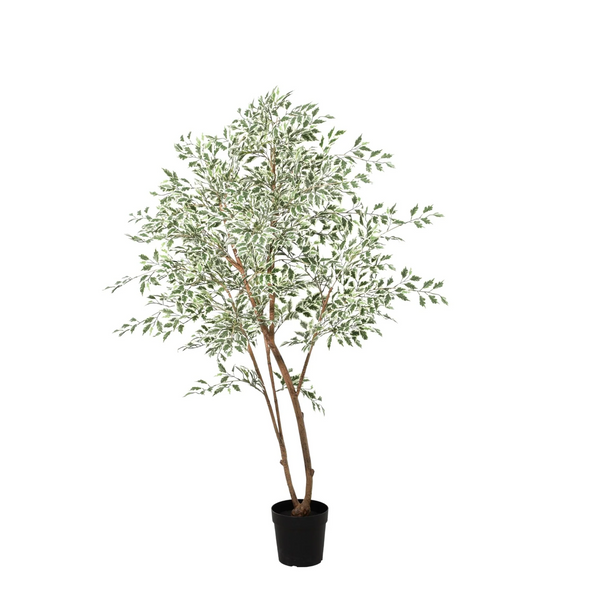 Kunstpflanze Birkenfeige panaschiert (Ficus benjamina)