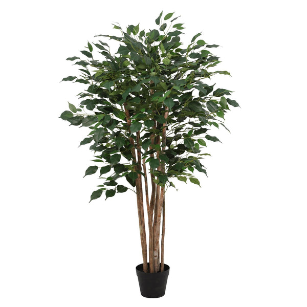 Kunstpflanze Birkenfeige (Ficus benjamina)