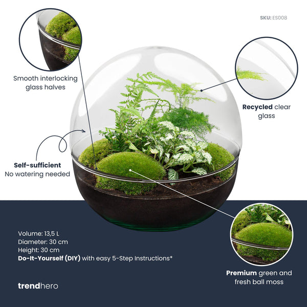 Flaschengarten-Set „Dome XL" – DIY-Terrarium im Kugelglas – Ansicht 2