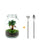 Flaschengarten-Set „Ficus Ginseng" – DIY-Terrarium mit Bonsai