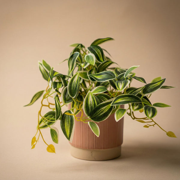 Kunstpflanze Tradescantia im Topf – Ansicht 3