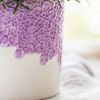 Pflanzen-Set „Bloom Purple" – Orchidee ‚Vienna' mit Grünpflanzen – Ansicht 6