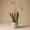 Kunstpflanze Renanthera-Orchidee im Topf