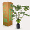 Kunstpflanze - Philodendron - 80 cm
