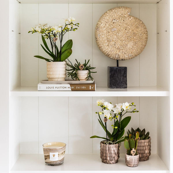 Übertopf-Set „Marble Light“ – Kombi-Angebot Marmor-Übertöpfe – Ansicht 4