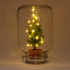 Ficus – Weihnachtsdekoration im Easyplant-Topf