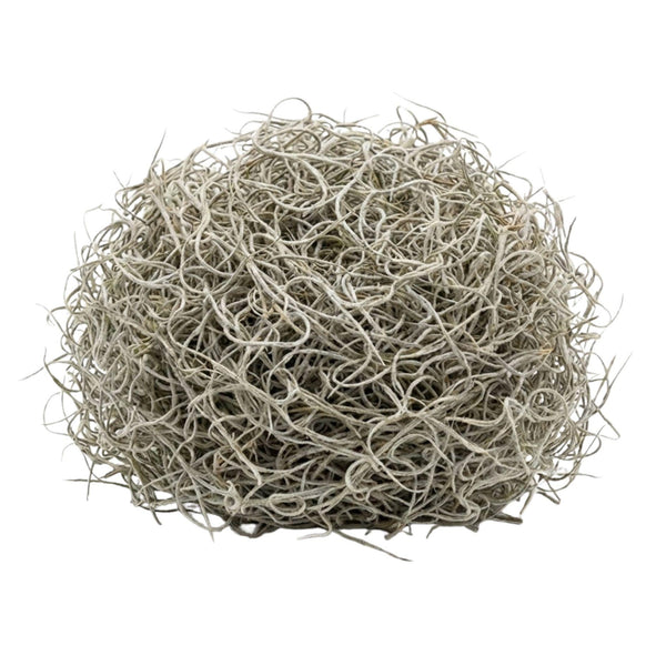 Getrocknetes Tillandsia-Moos – Dekomoos