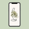 Tillandsie – Tillandsia xerographica – Ansicht 4