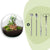 Flaschengarten-Set „Dome XL" – Ficus Ginseng Bonsai mit Werkzeug