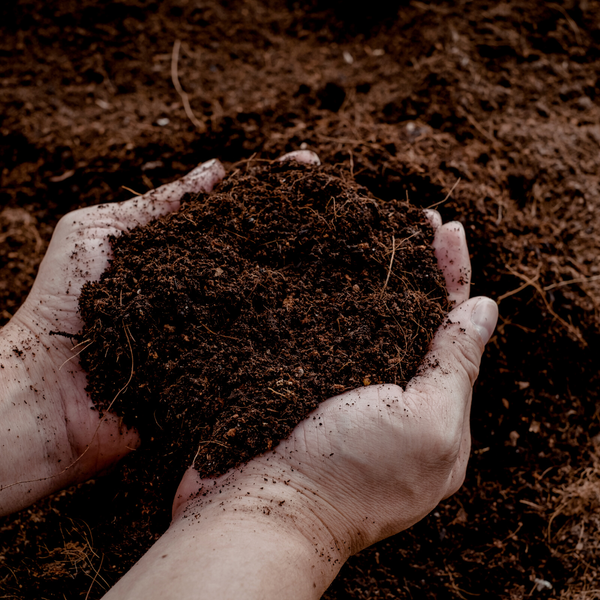 Universal-Blumenerde für Zimmer- und Gartenpflanzen – Ansicht 2