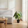 Kunstpflanze Alocasia ‚Polly' – Ansicht 3