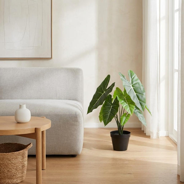 Kunstpflanze Alocasia ‚Polly' – Ansicht 3