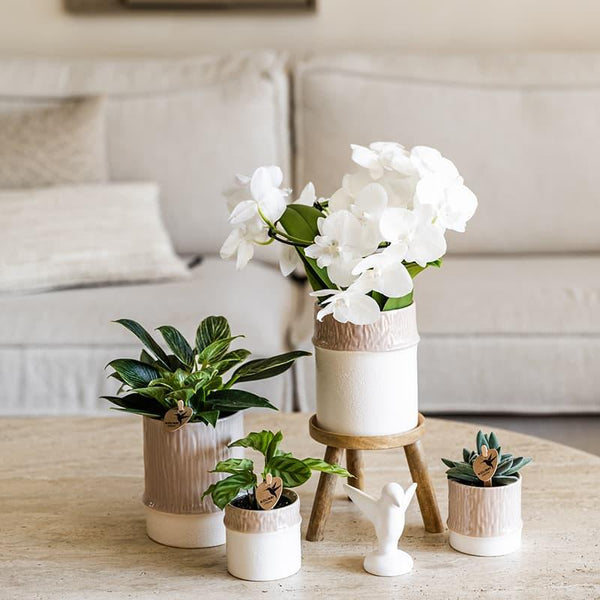 Übertopf Bamboo – Ansicht 3