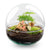 Flaschengarten-Set „Dome" – DIY-Terrarium im Kugelglas