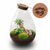 Flaschengarten-Set „Love Mom Drop XL“ – DIY-Terrarium mit graviertem Korken