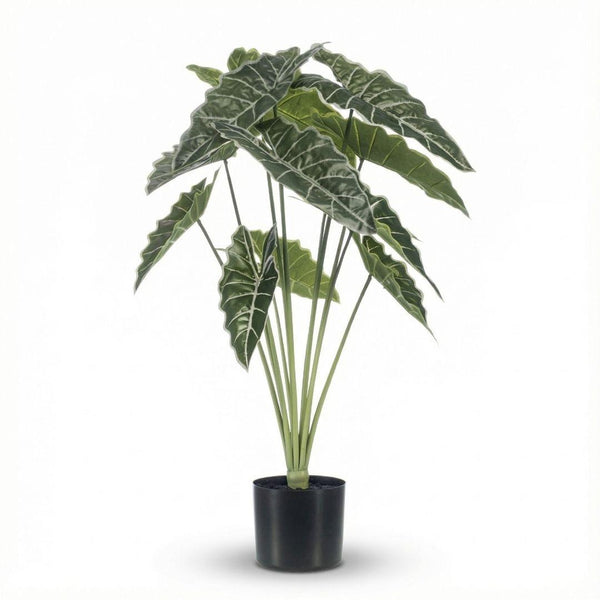 Kunstpflanze Alocasia – Ansicht 5