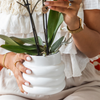 Geschenk-Set „Large White" – Orchidee ‚Gibraltar' mit Grünpflanzen – Ansicht 3