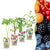 Beerenobst-Set „Regenbogen" – Johannisbeere, Himbeere, Brombeere, Heidelbeere