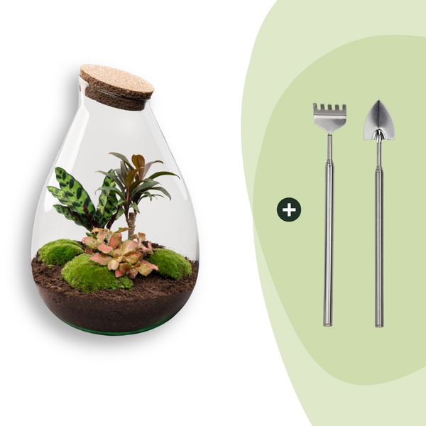 Flaschengarten-Set „Drop XL Palm" – DIY-Terrarium mit Palme – Ansicht 2