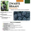 Brombeere – Rubus fruticosus – Ansicht 4