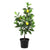 Kunstpflanze Zitronenbaum – Ø 17 cm · 65 cm