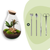 Flaschengarten-Set „Drop XL Palm" – DIY-Terrarium mit Palme