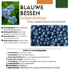 Obstpflanzen-Set „Sommerfrüchte" – 4 verschiedene BIO-Obstpflanzen – Ansicht 5