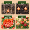 Gefüllte Tulpe ‚Gudoshnik Double' – Tulipa – Ansicht 4