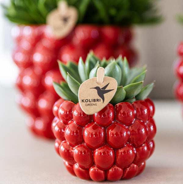 Übertopf Berry – Ansicht 2