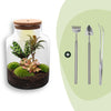 Flaschengarten-Set „Milky" – DIY-Terrarium mit Licht