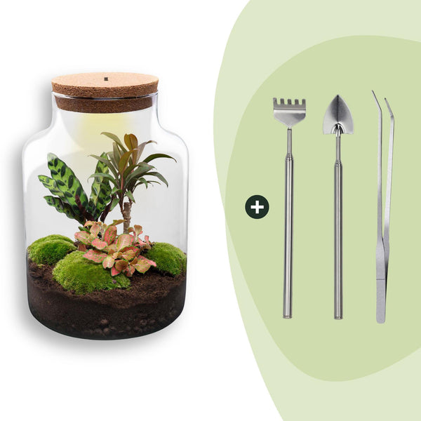 Flaschengarten-Set „Milky" – DIY-Terrarium mit Licht