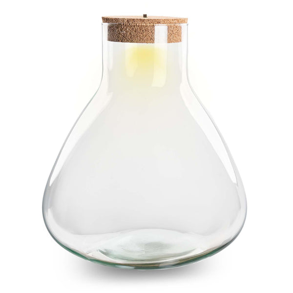 Flaschengarten-Set „Sam XL" – Terrarium mit LED-Korken