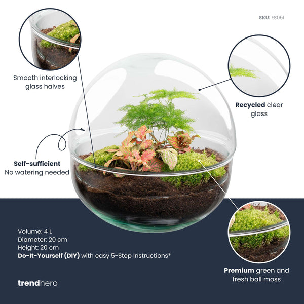 Flaschengarten-Set „Dome" – DIY-Terrarium im Kugelglas – Ansicht 2
